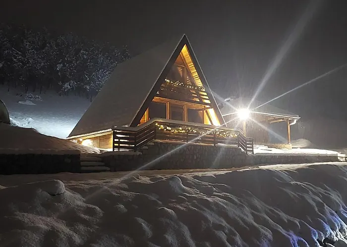 A Frame Svetosavska Bajka Сasa de vacaciones *